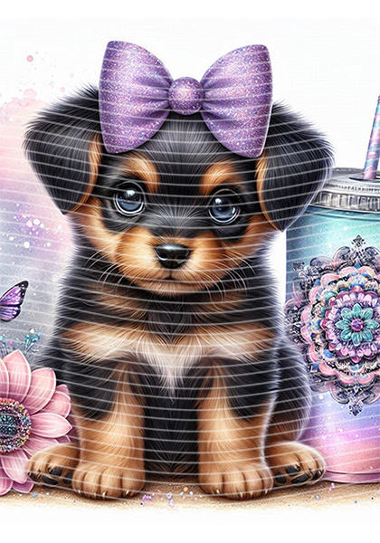 A5 Notebook Wraps-W-989